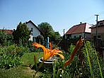Třibřichy